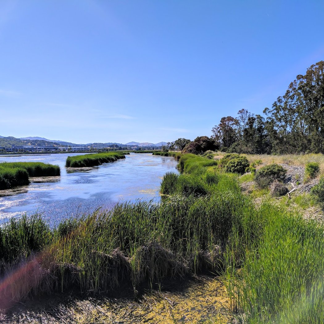 Hamilton Wetlands 3