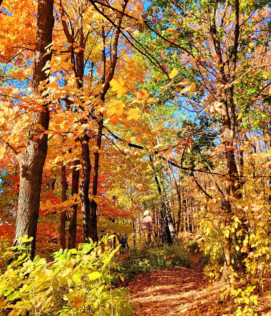 Cherokee Regional Park 1