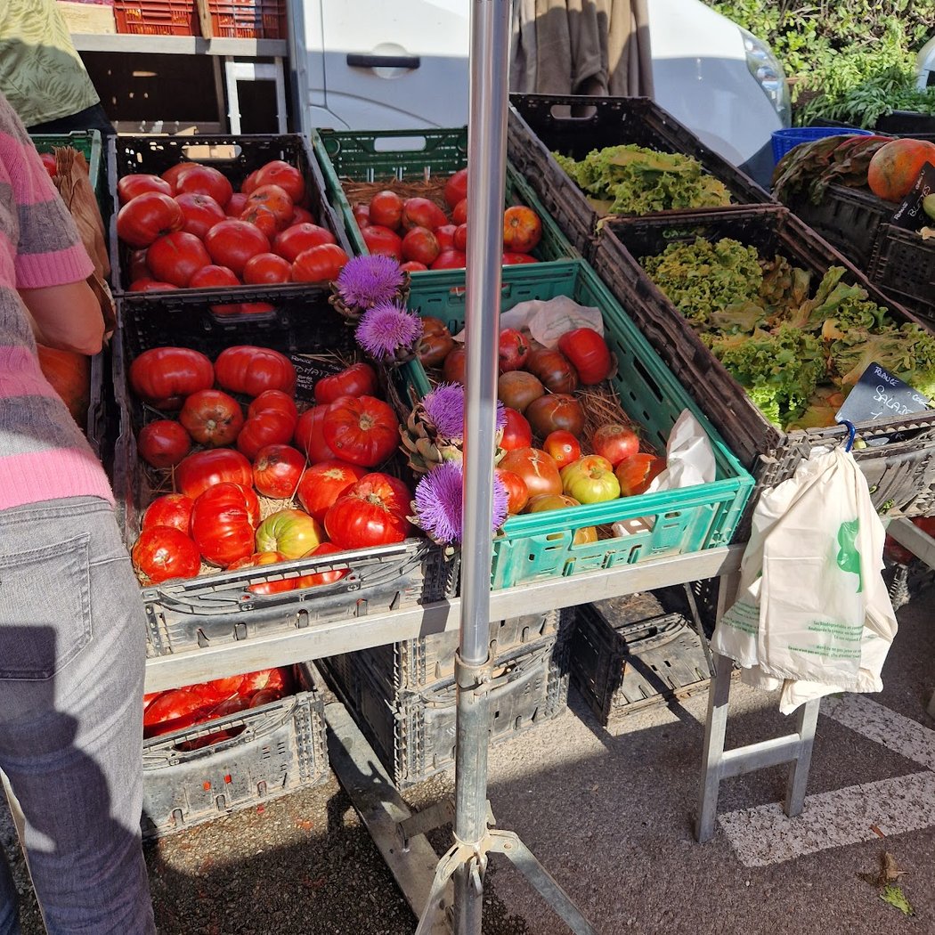 Provencal Market 3