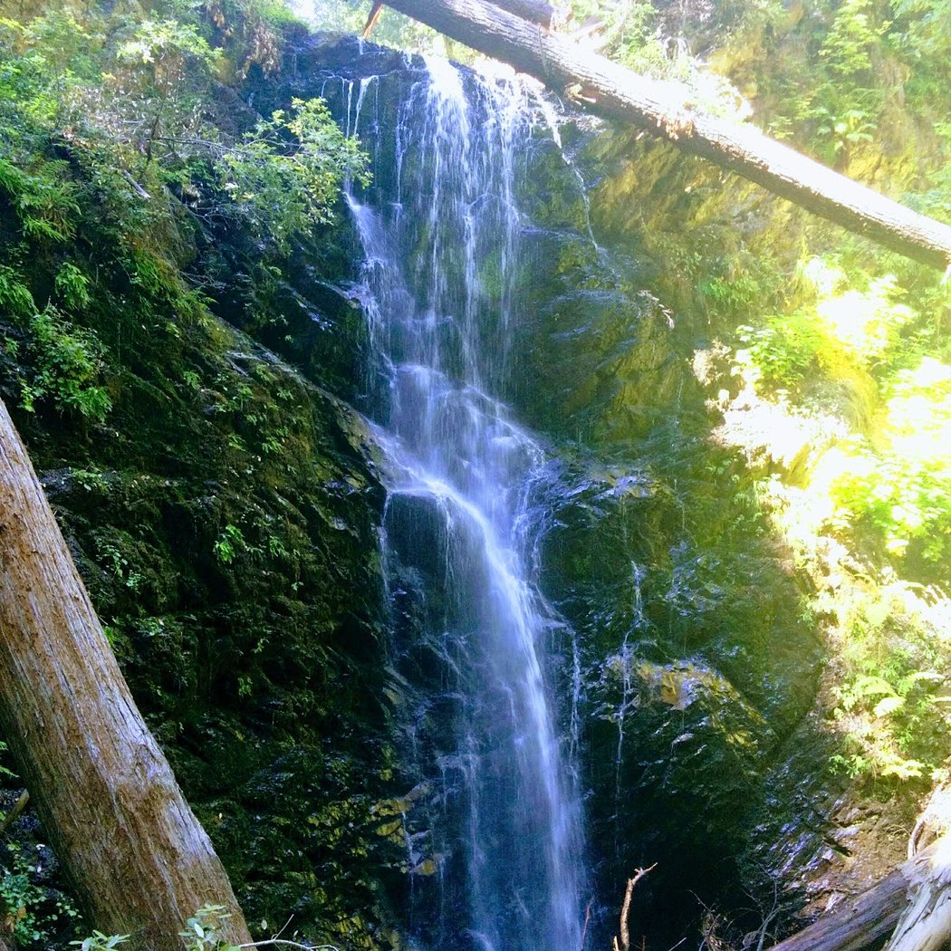 Berry Creek Falls Trail 1