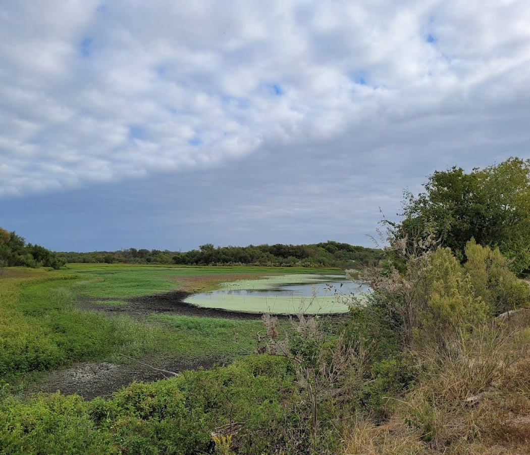 Mitchell Lake Audubon Center 3