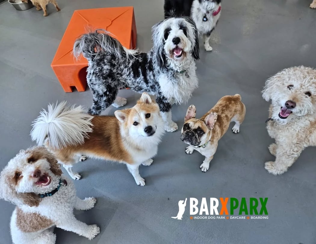 Barx Parx Happy Hour