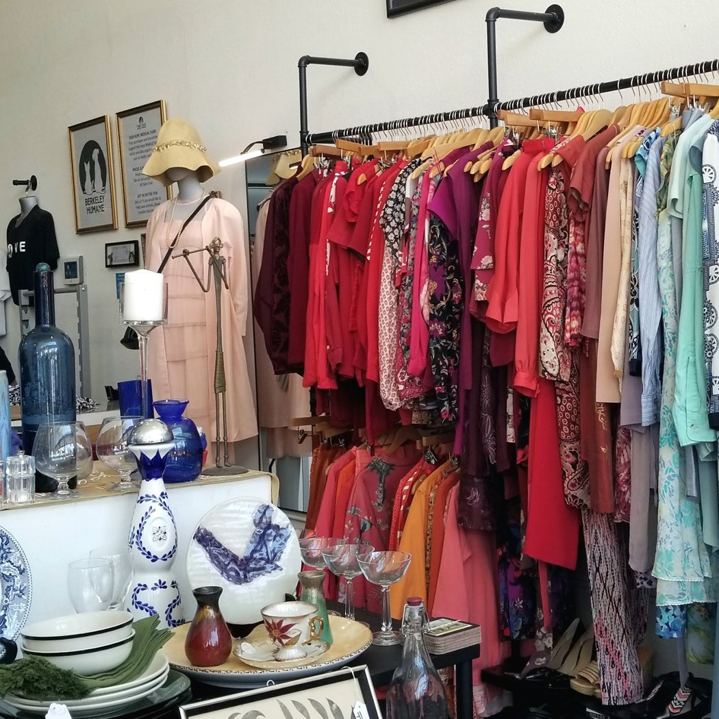 Thrift Shop Supporting Berkeley Humane -Ashby Avenue 1