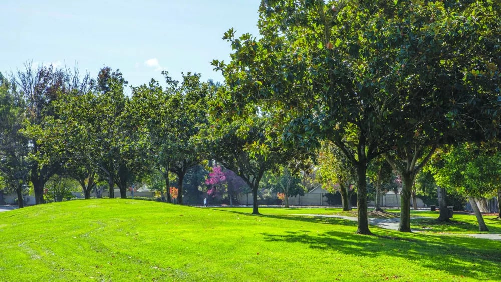 Rainbow Park 2