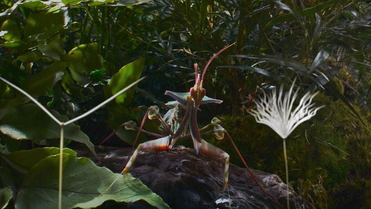 Planètes 3
