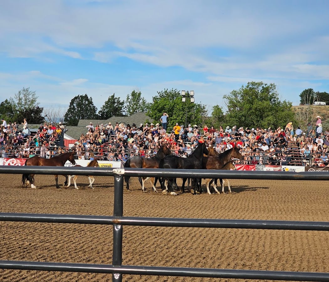 The Eagle Rodeo 2