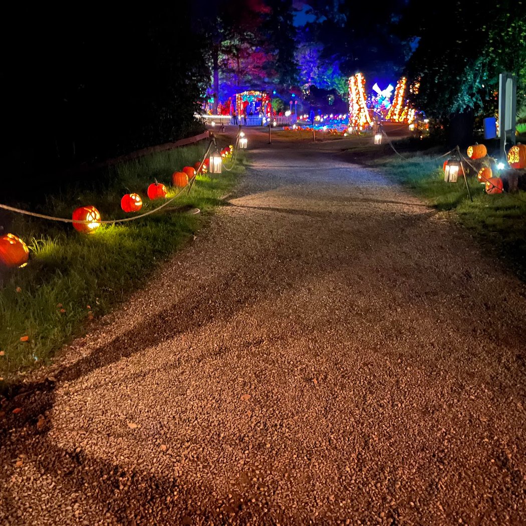 Pumpkin Blaze 2