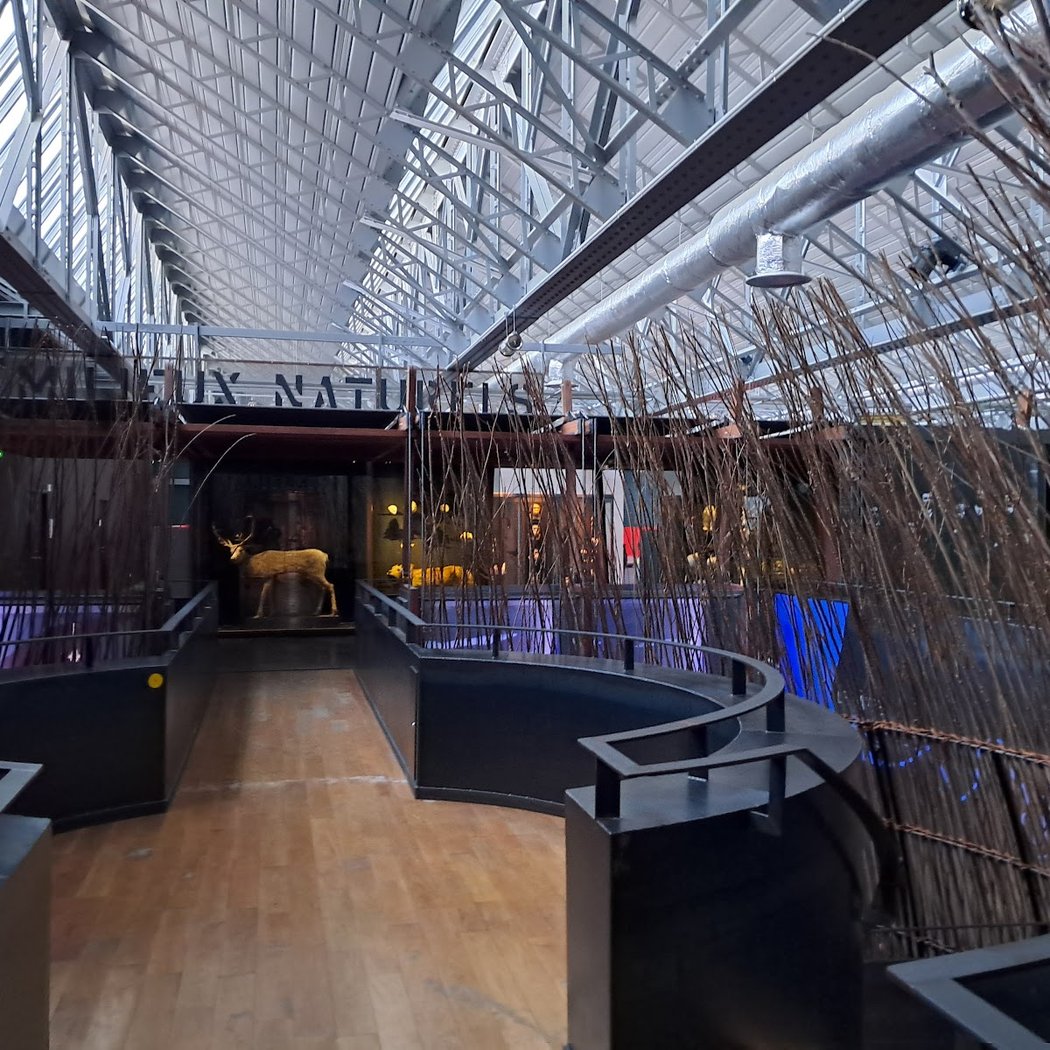 Fabrique des Savoirs - Réunion des Musées Métropolitains (RMM) 2