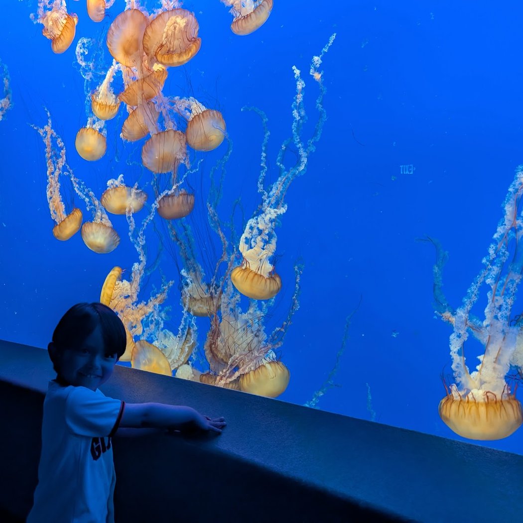 Monterey Bay Aquarium: Seafood Watch Program 1