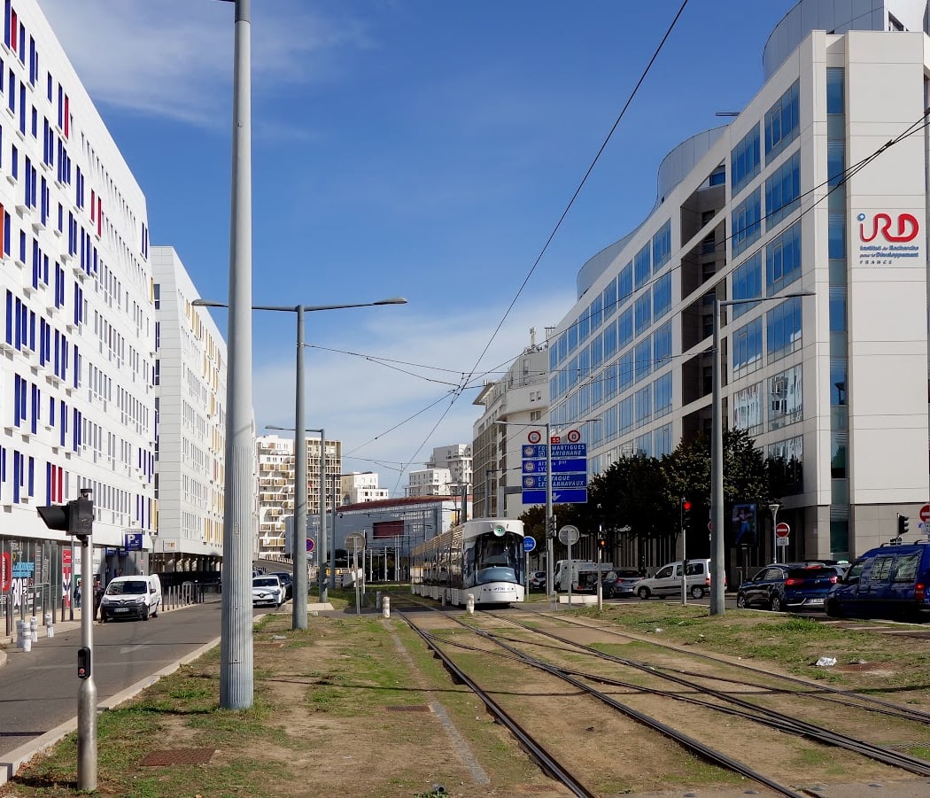 Research Institute for Development 3