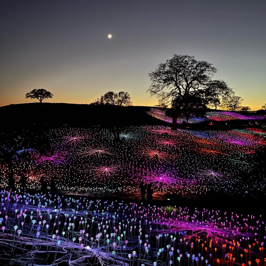 PhotoCarmel 2026: A Celebration of Photography on the Central Coast 3