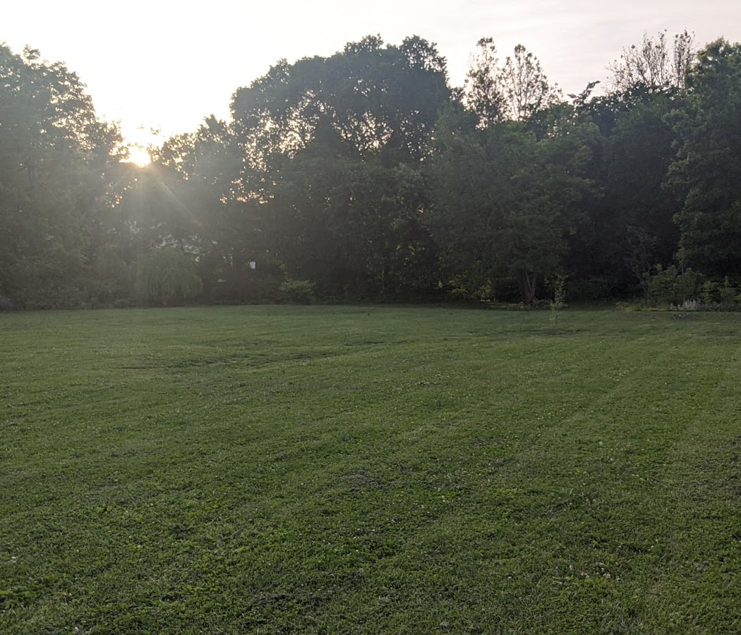 Bronxville Dog Park 2