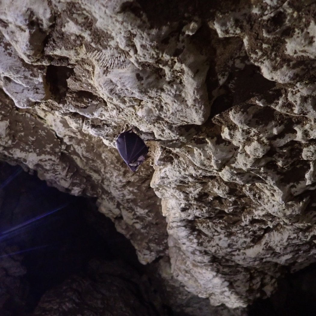Grotte de la Vallée-Cuchon 3