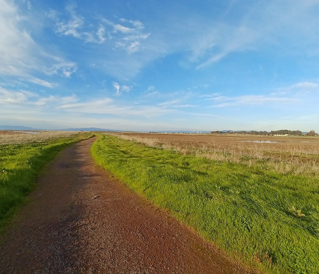 Mare Island San Pablo Bay Hiking Trail 1