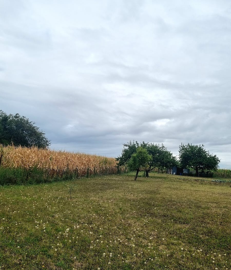 Forêt Régionale des Vallières 2