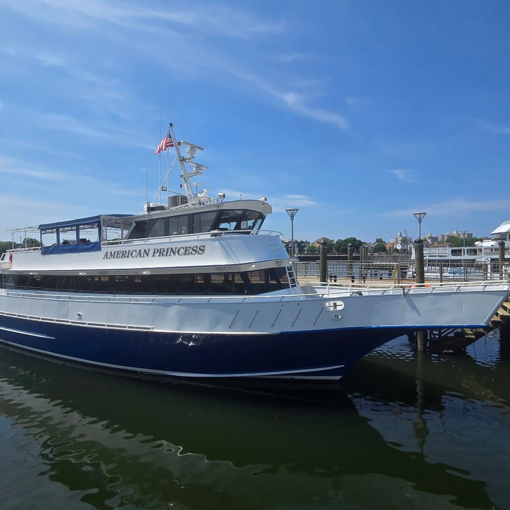 12-hour Pelagic Bird & Marine Wildlife Trip 2