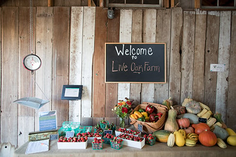 Live Oak Farm 1