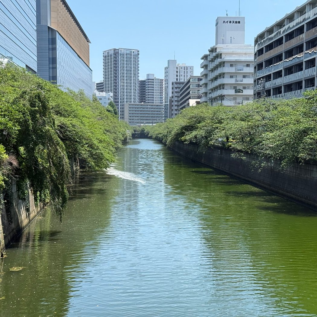 Meguro River 2