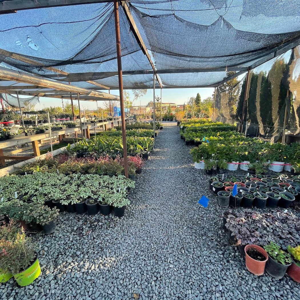 Sonoma Valley Wholesale Nursery 2