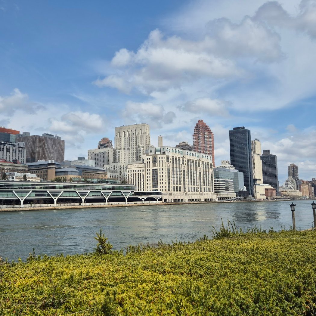 Roosevelt Island 2