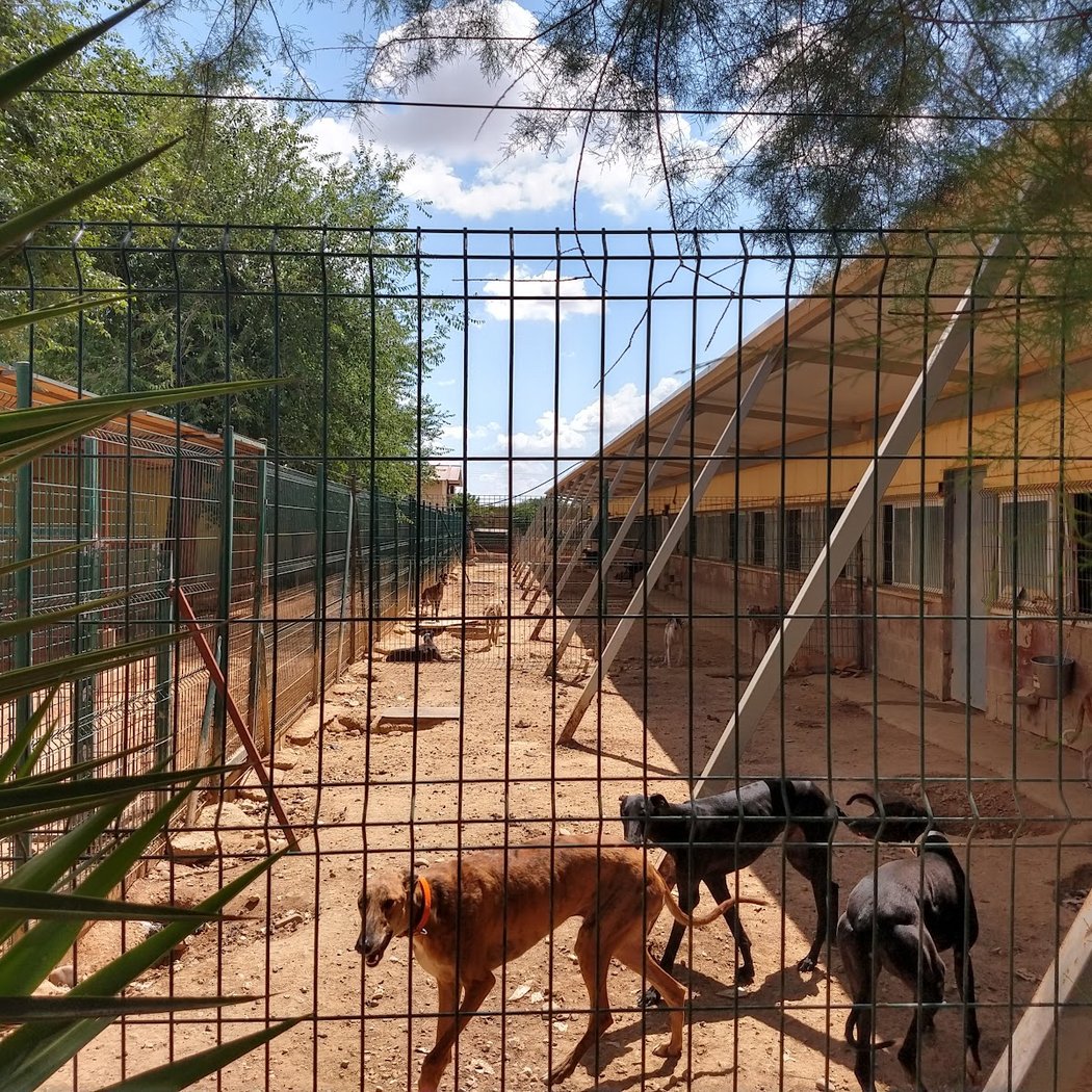 Fundación Benjamín Mehnert 2