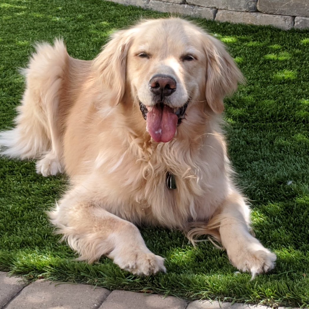Berkeley Humane 1