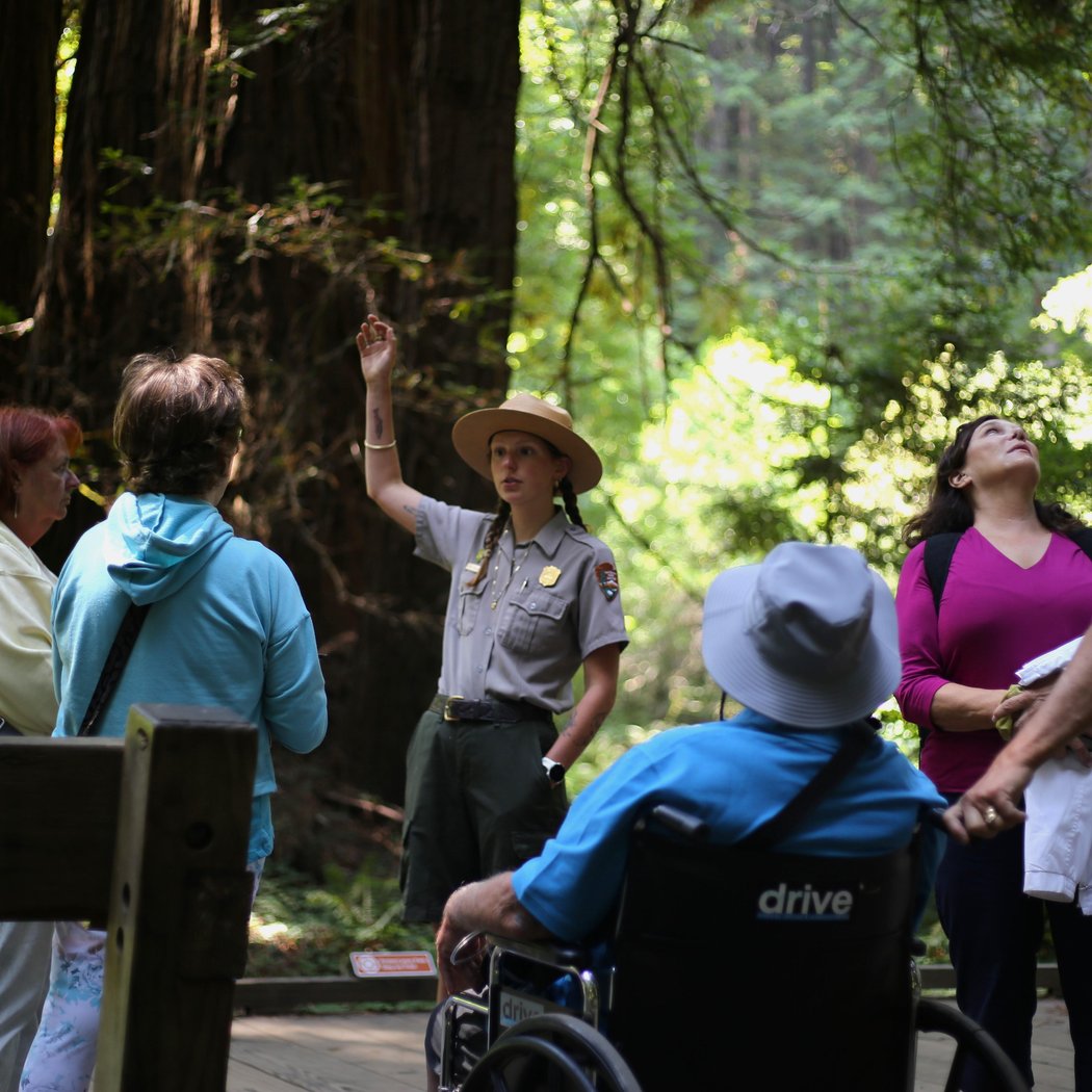 Into the Woods 1-Hour Tour