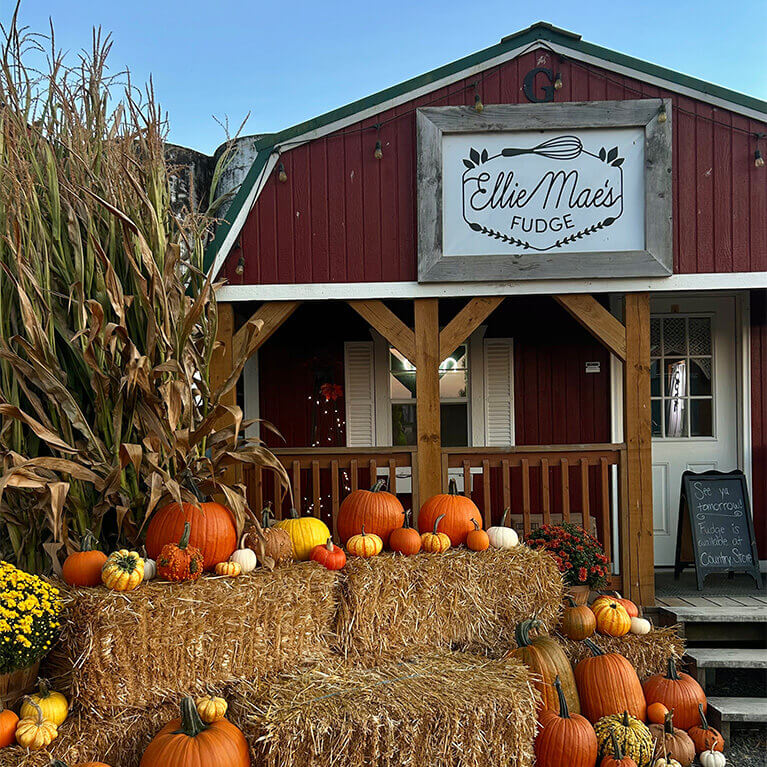 Bob's Corn & Pumpkin Farm 3