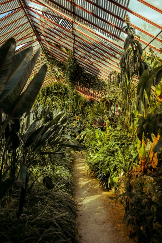 La Jardinerie de La Bambouseraie 1