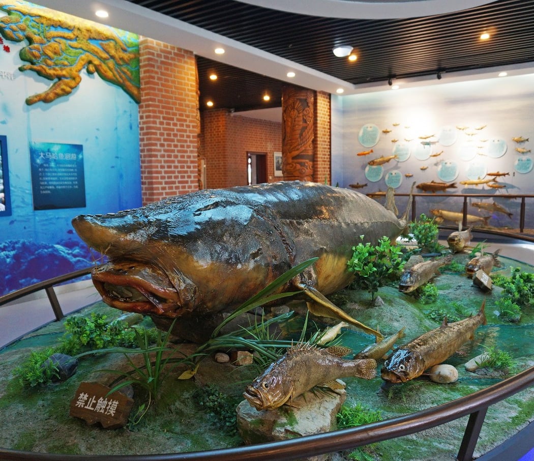 Fish Expo Hall 1