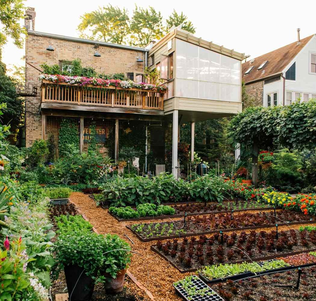Sheffield Garden Walk 1