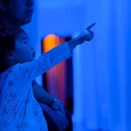 Vivid: Immerse Your Senses 2