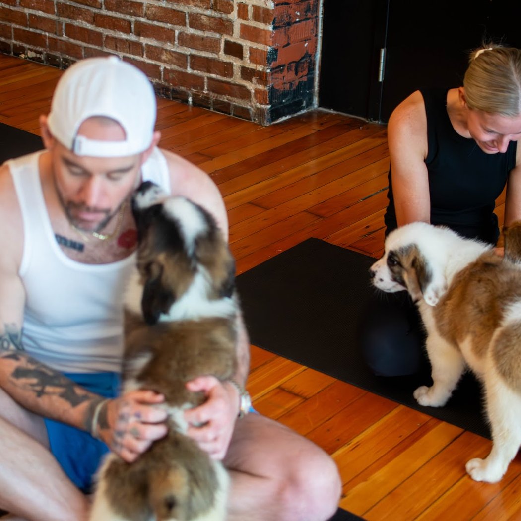 Puppy Yoga San Francisco - Studio 2( Puppies Yoga) 3