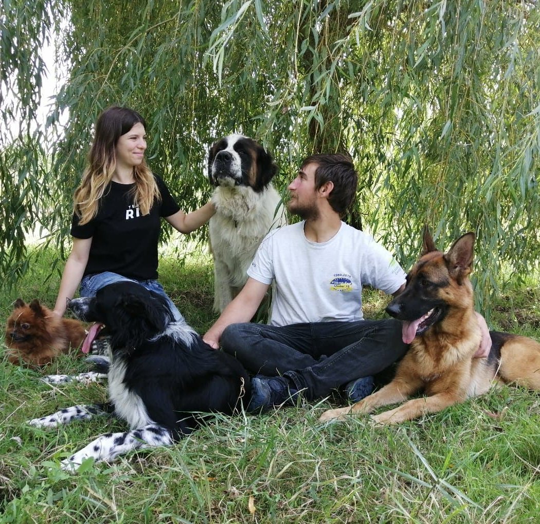Pension canine en famille (44) 1