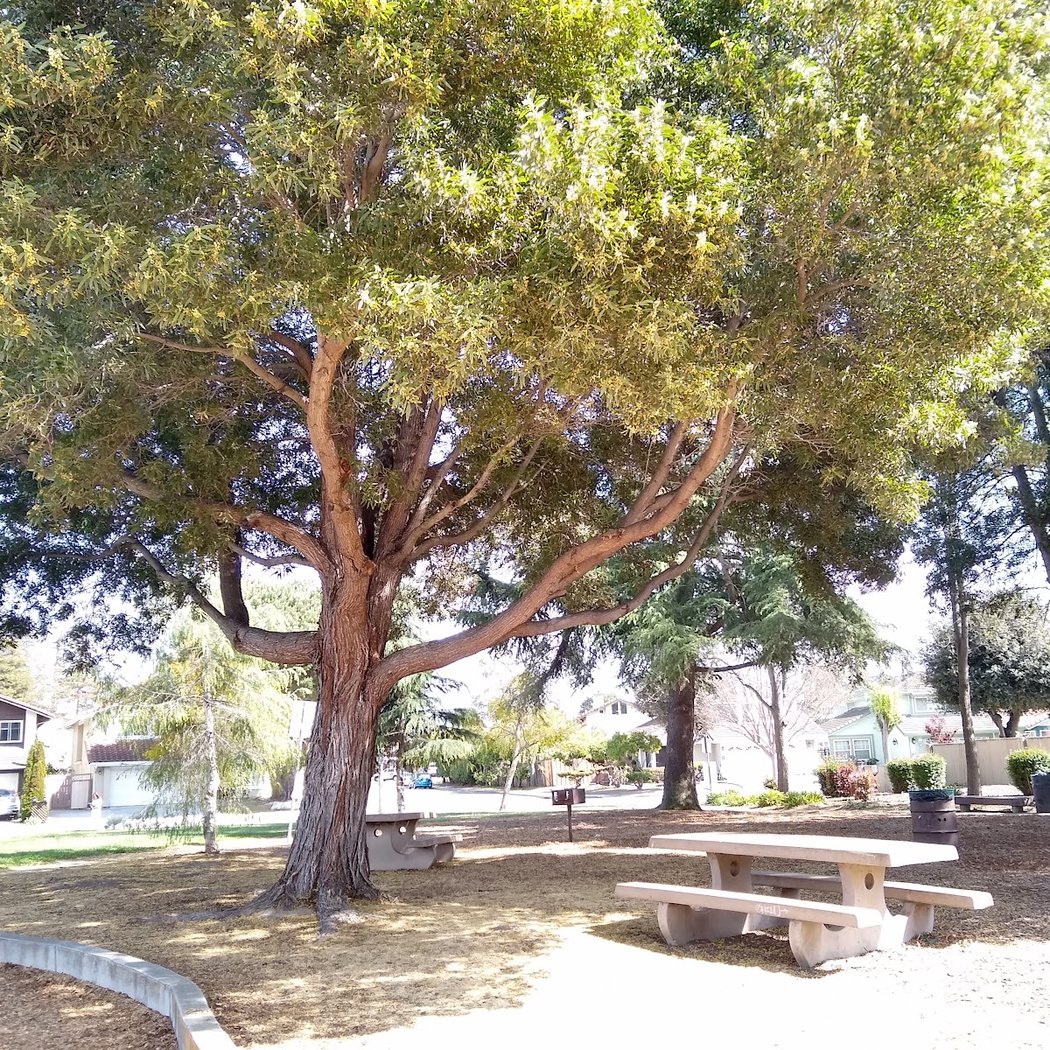 Union Landing Park 1