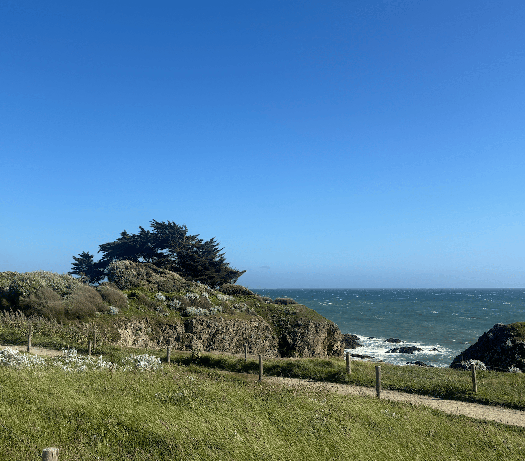 Côte sauvage du pouliguen 3