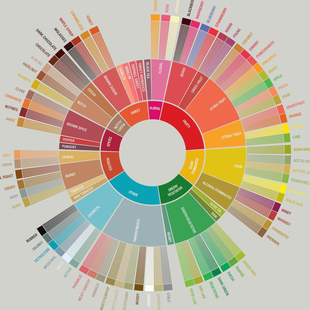 Understanding The Coffee Flavor Wheel (And How To Talk About Coffee Flavors) 1
