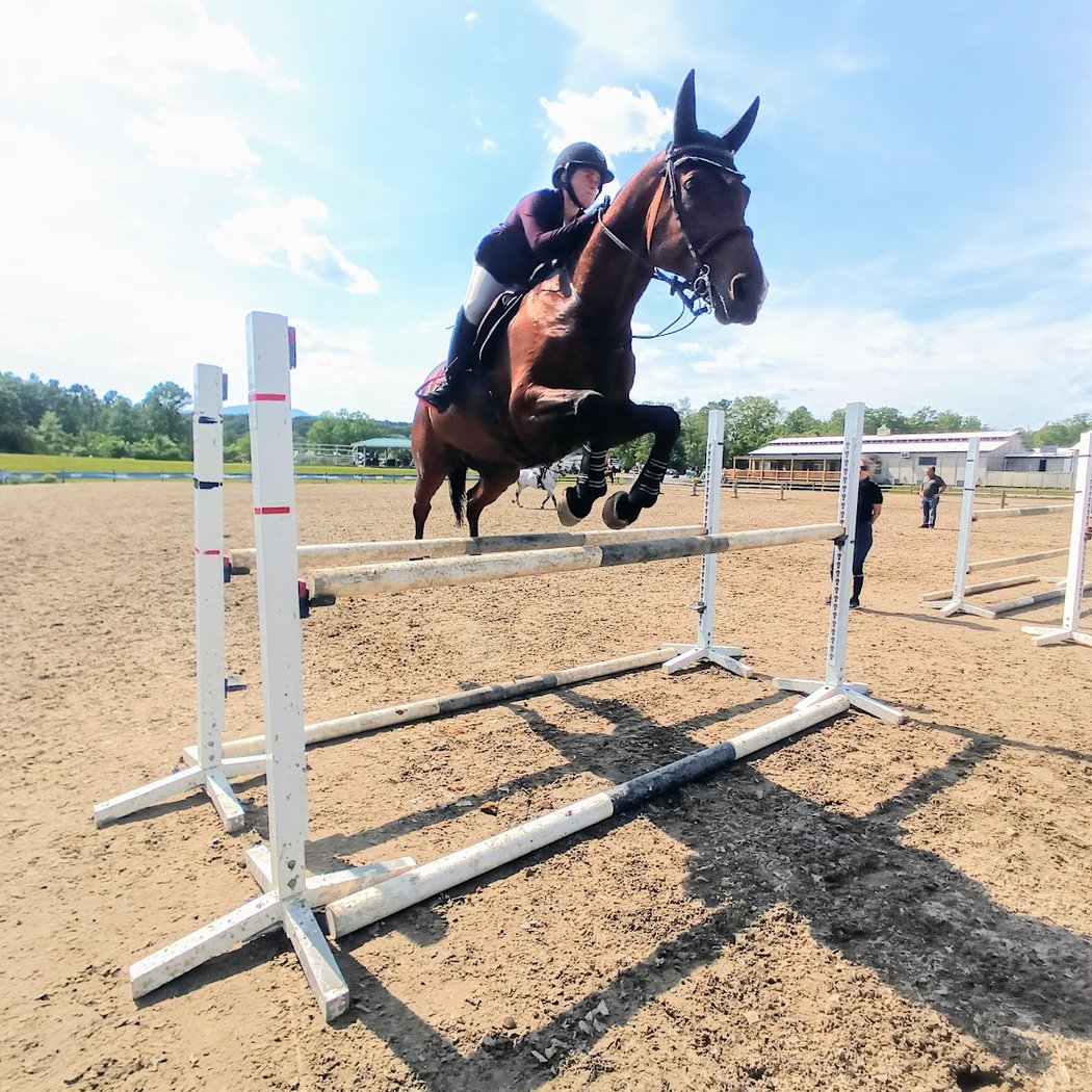 Taconic Equestrian 1