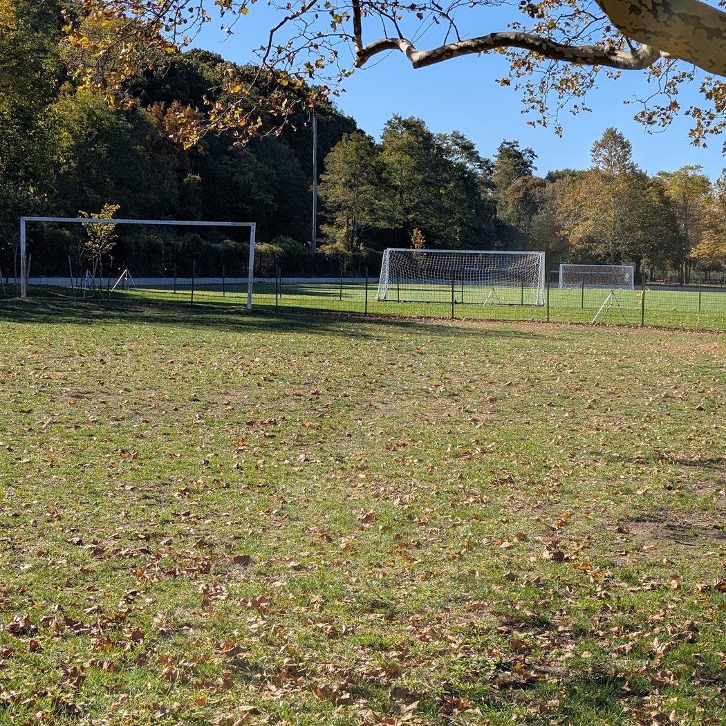 Dyckman Fields 2
