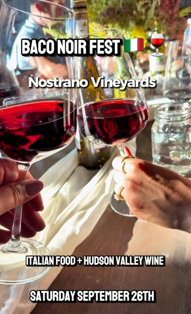 Baco Noir Fest 1
