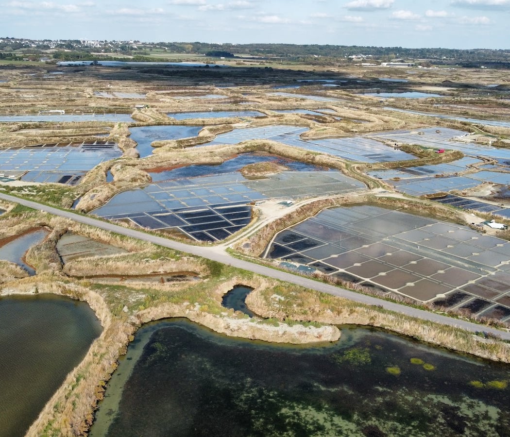 Visite et dégustation à Guérande 1
