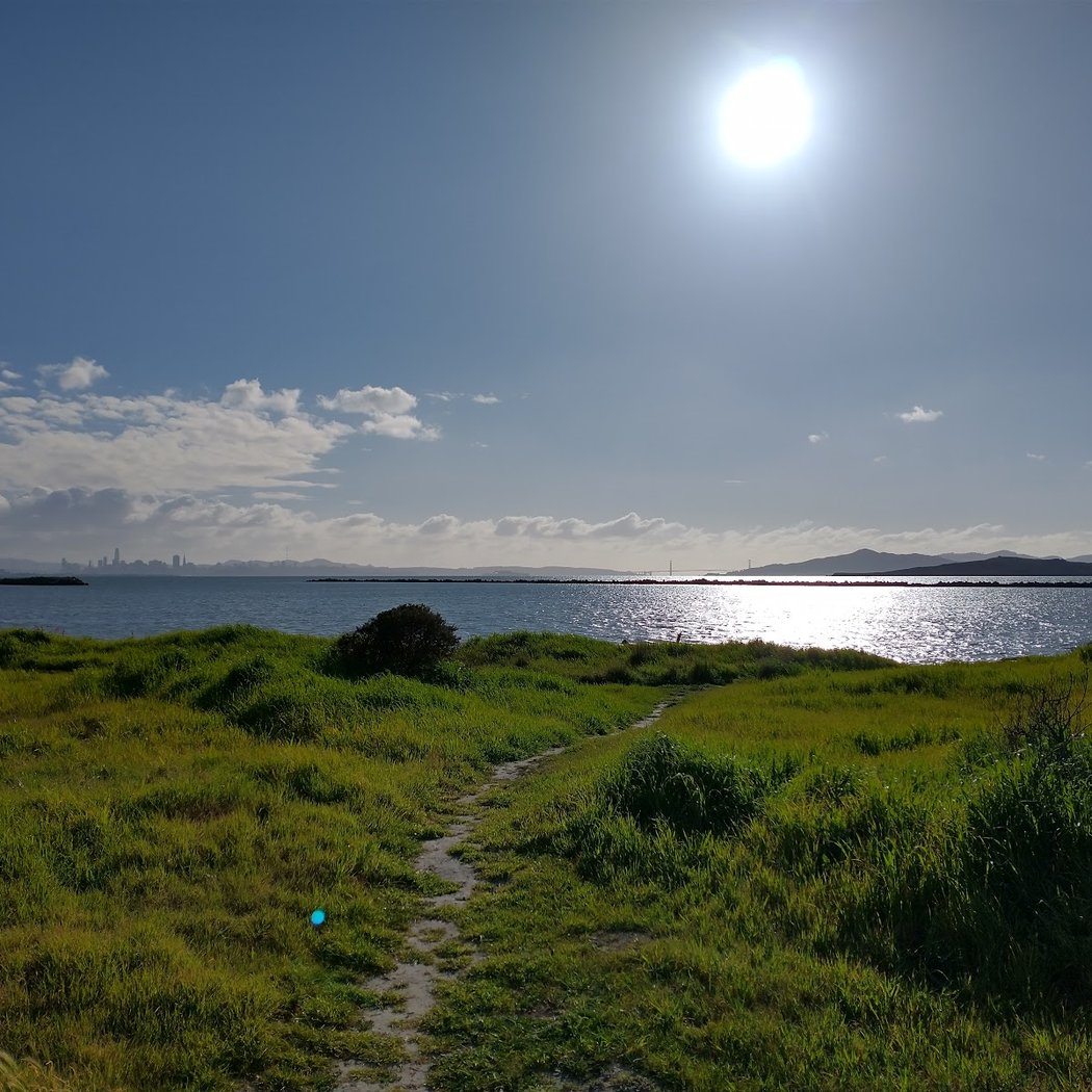 Point Isabel Regional Shoreline 3