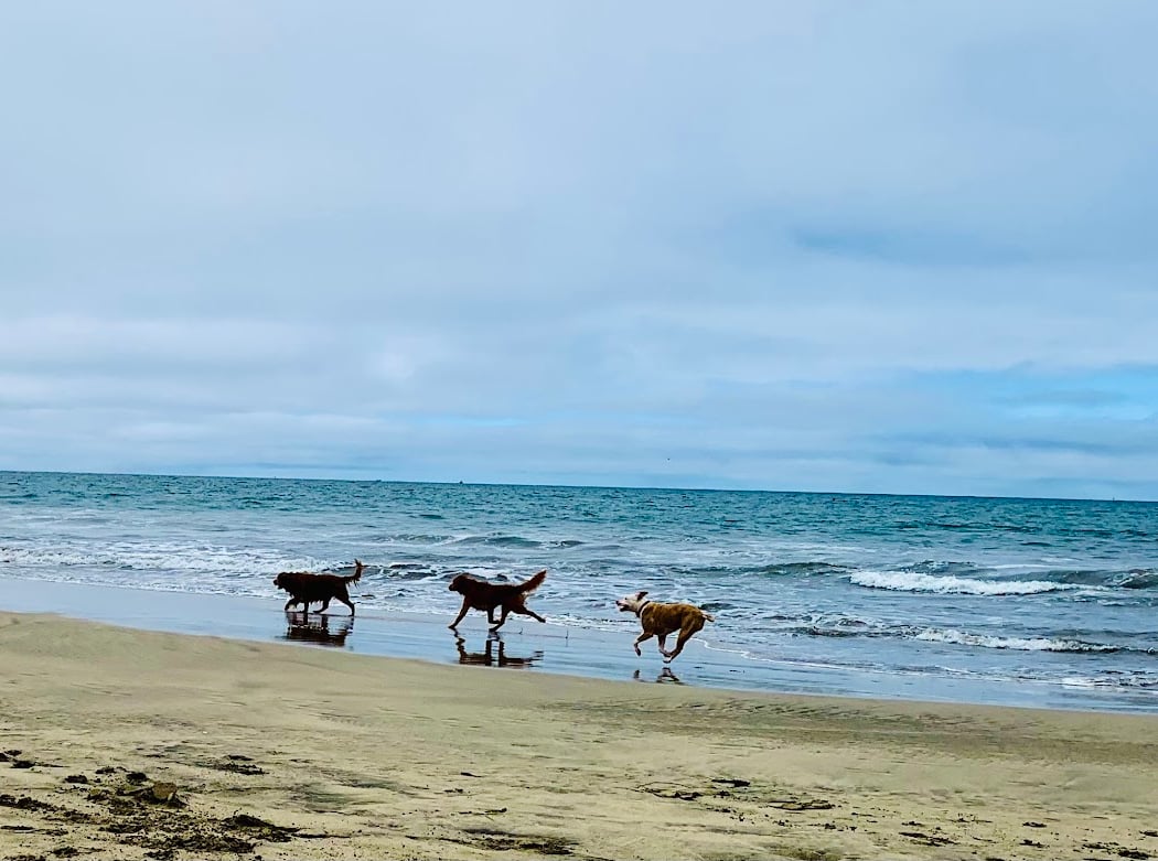 Vallejo Beach 2