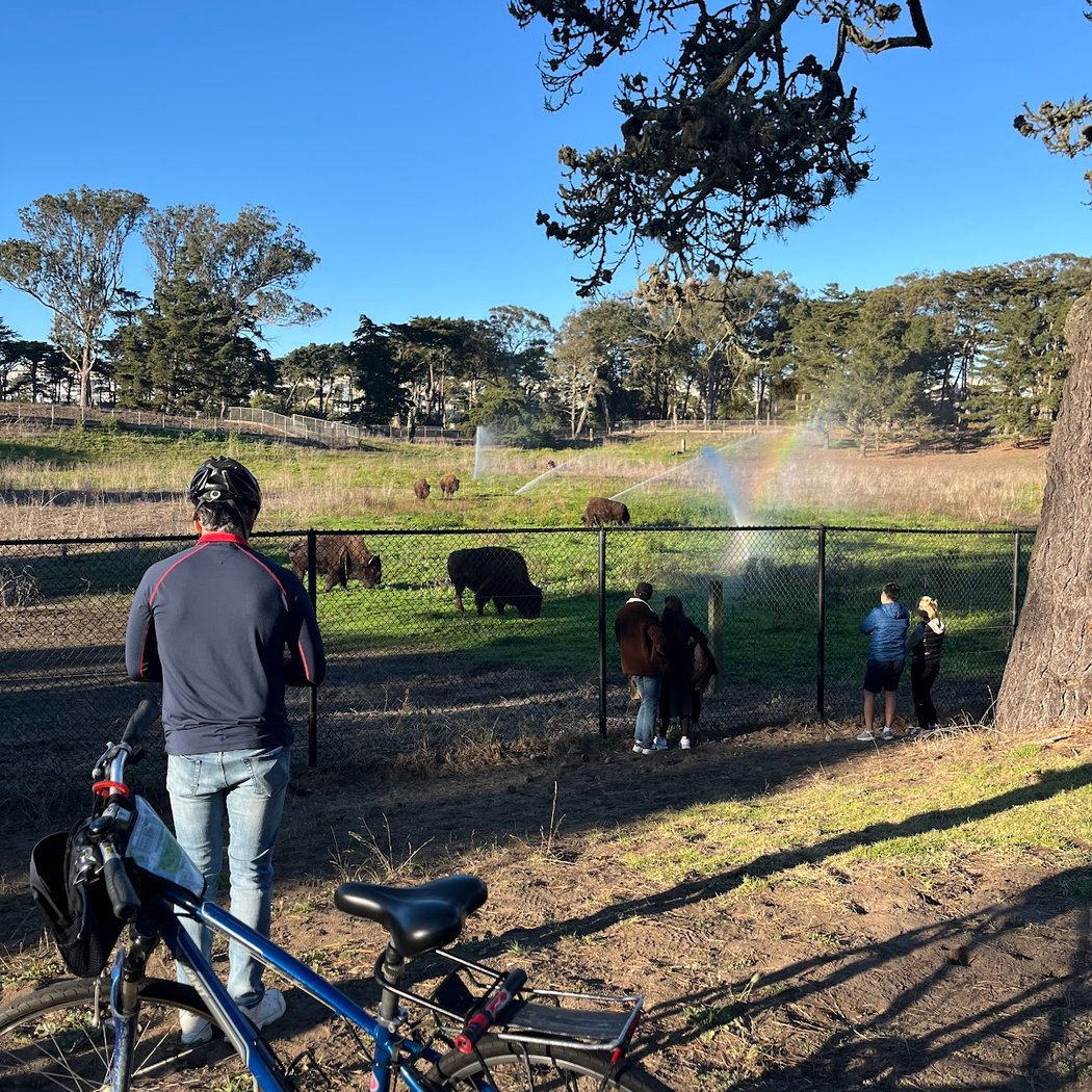 Parkwide Bike Rentals & Tours 2
