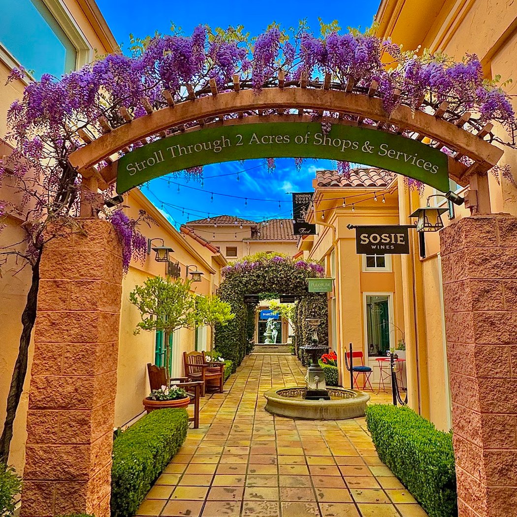 Vine Alley 1