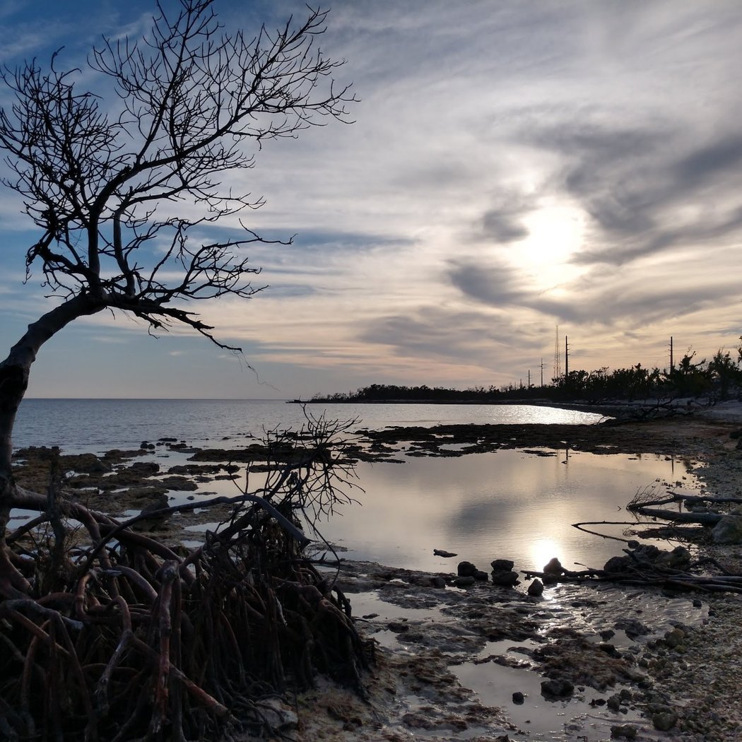 Big Pine Key 2