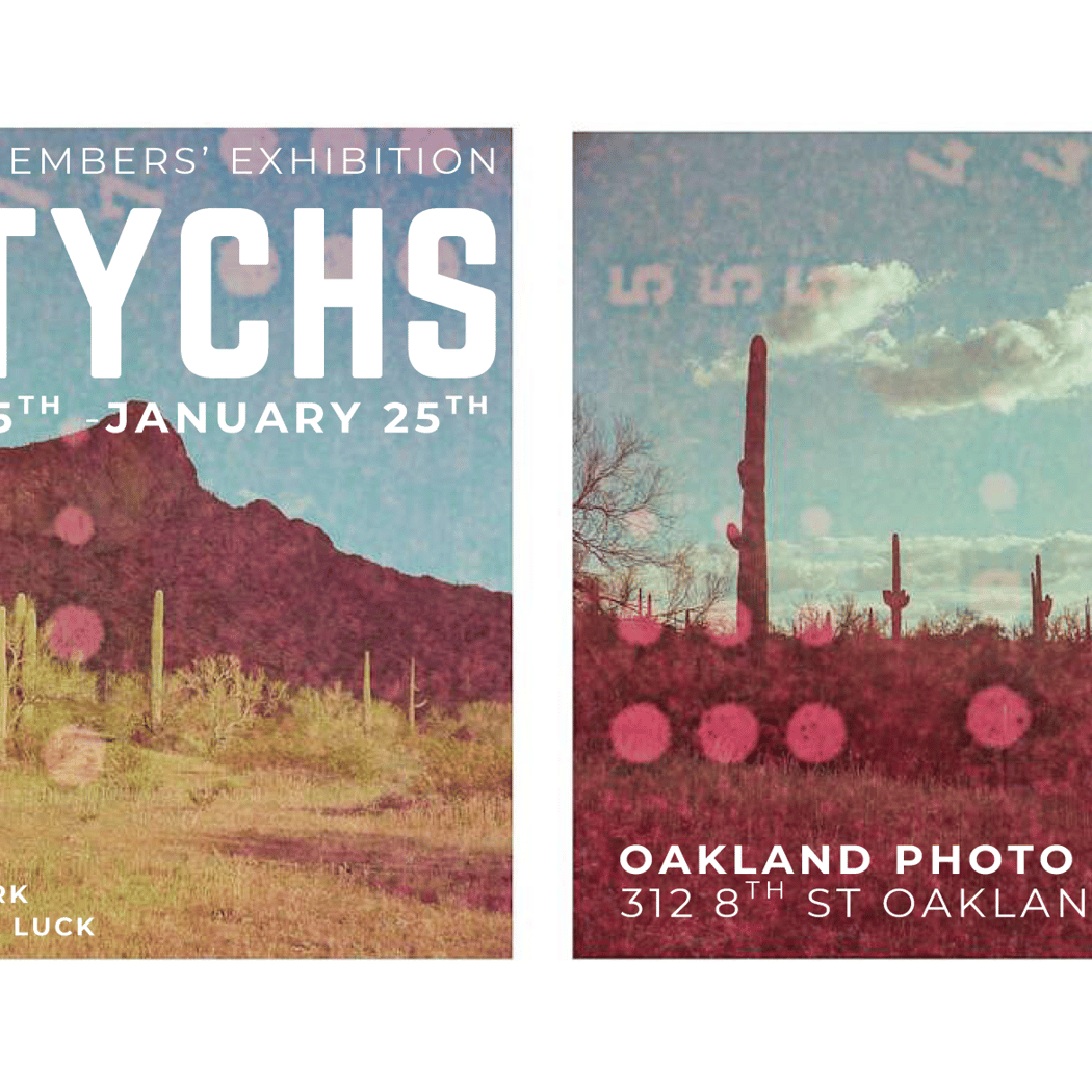 DIPTYCHS; 2025 EBPCO Members' Exhibition 1