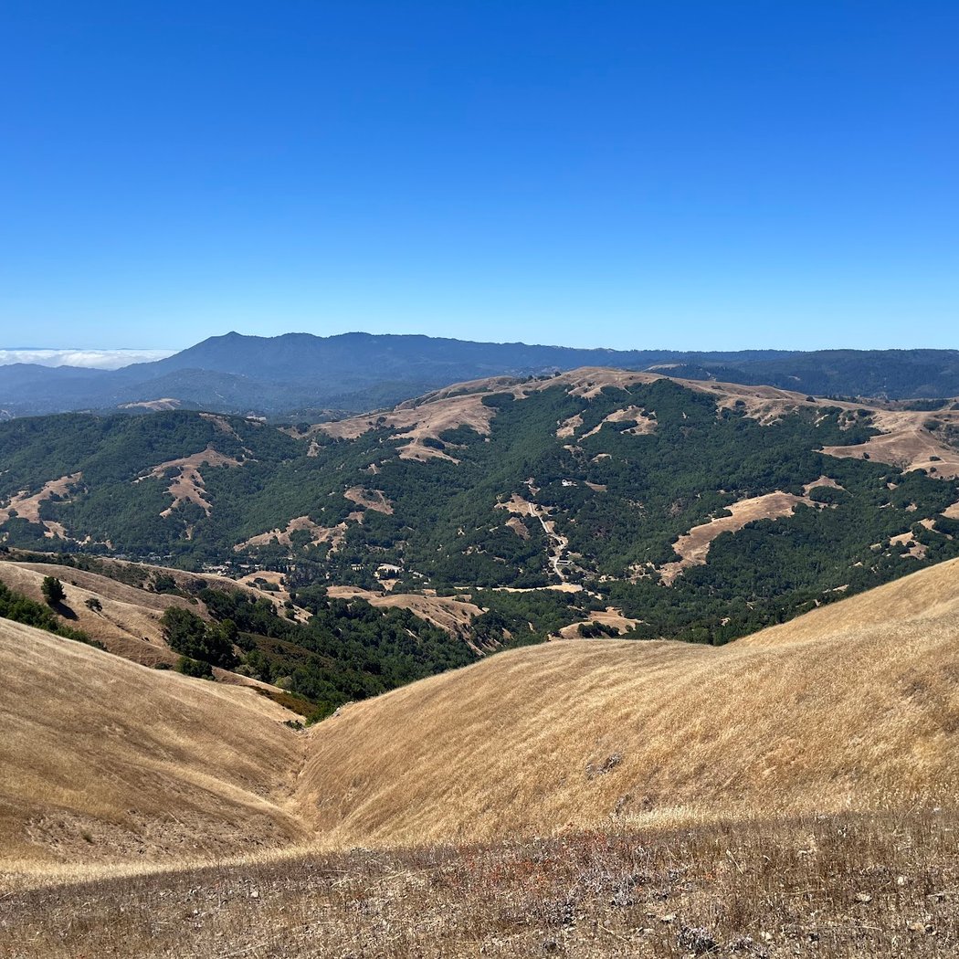 Ponti Ridge Trail 2