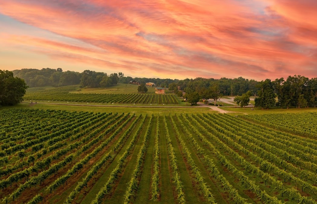 Arrington Vineyards 1
