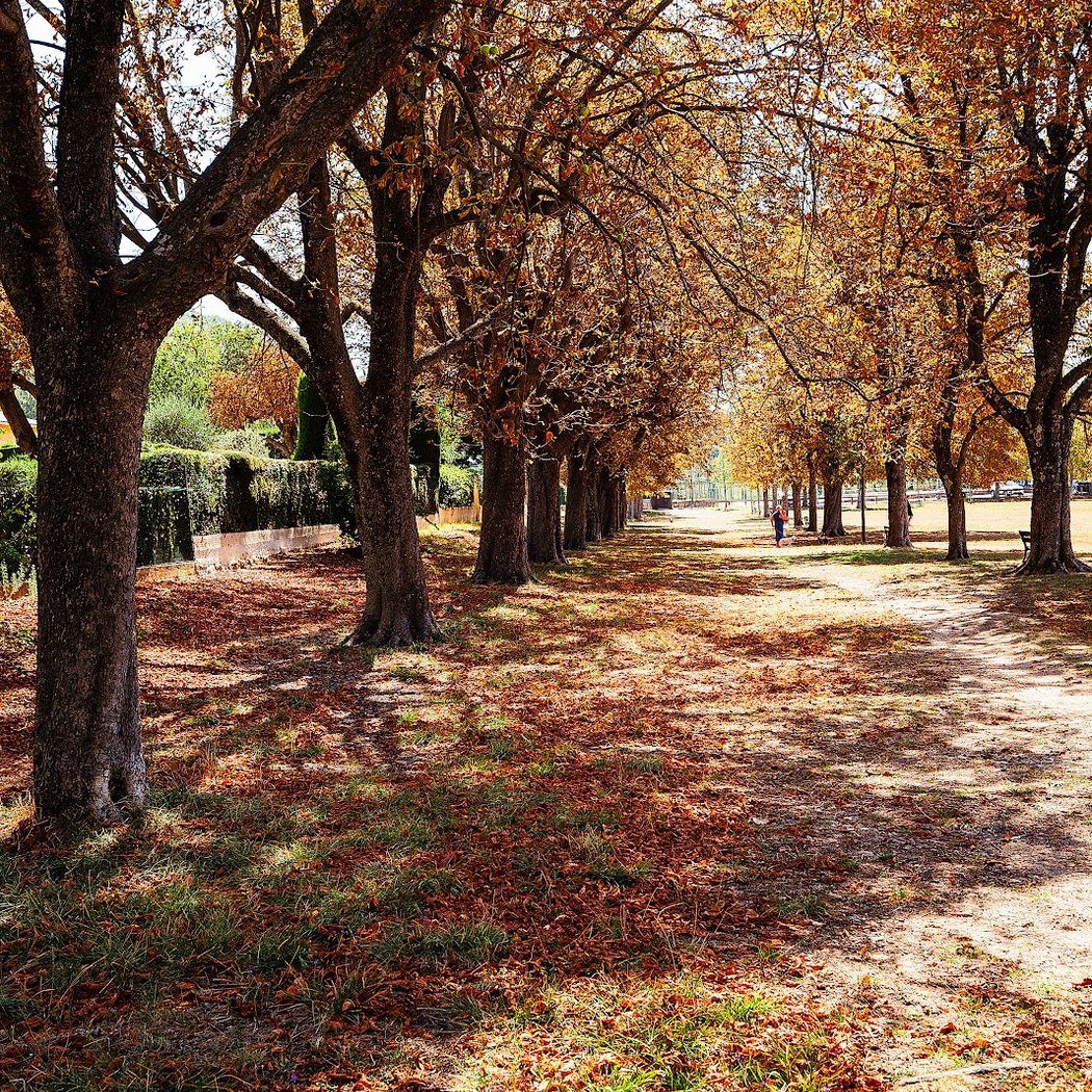 Le grand pré 1